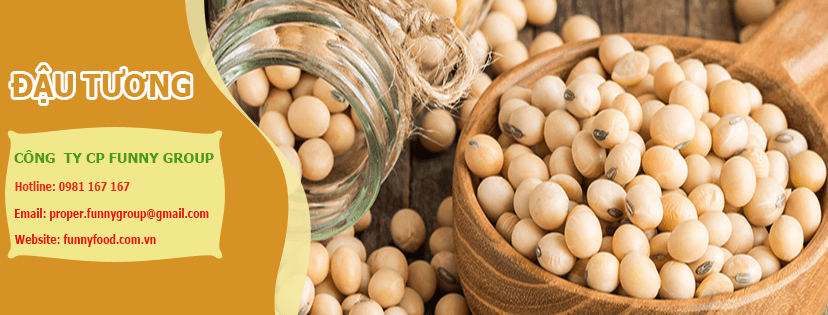 Đậu tương - bắp rang bơ