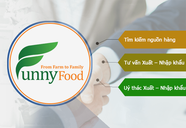 Dịch vụ tổng quát