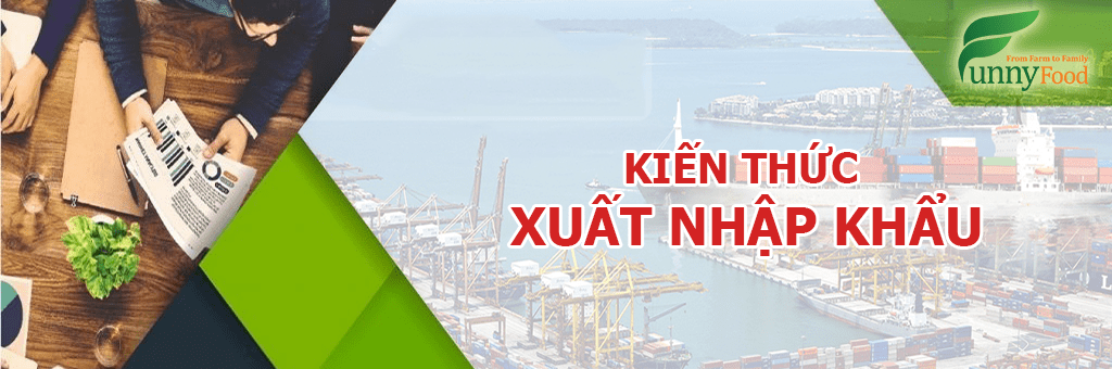 Kiến thức xuất - nhập khẩu