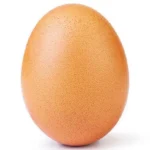 1 Quả Trứng Bao Nhiêu Calo? Phân Tích Dinh Dưỡng & Cách Ăn Khoa Học