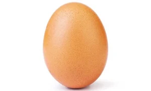 1 Quả Trứng Bao Nhiêu Calo? Phân Tích Dinh Dưỡng & Cách Ăn Khoa Học