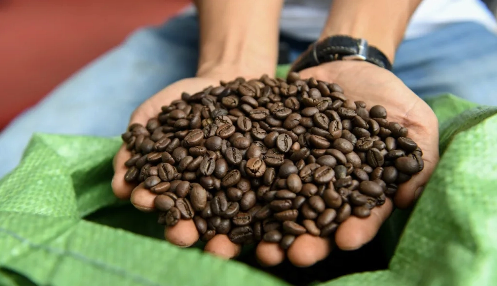 9 Điều Quan Trọng Về Bảng Trừ Độ Ẩm Cà Phê Mà Bạn Phải Biết