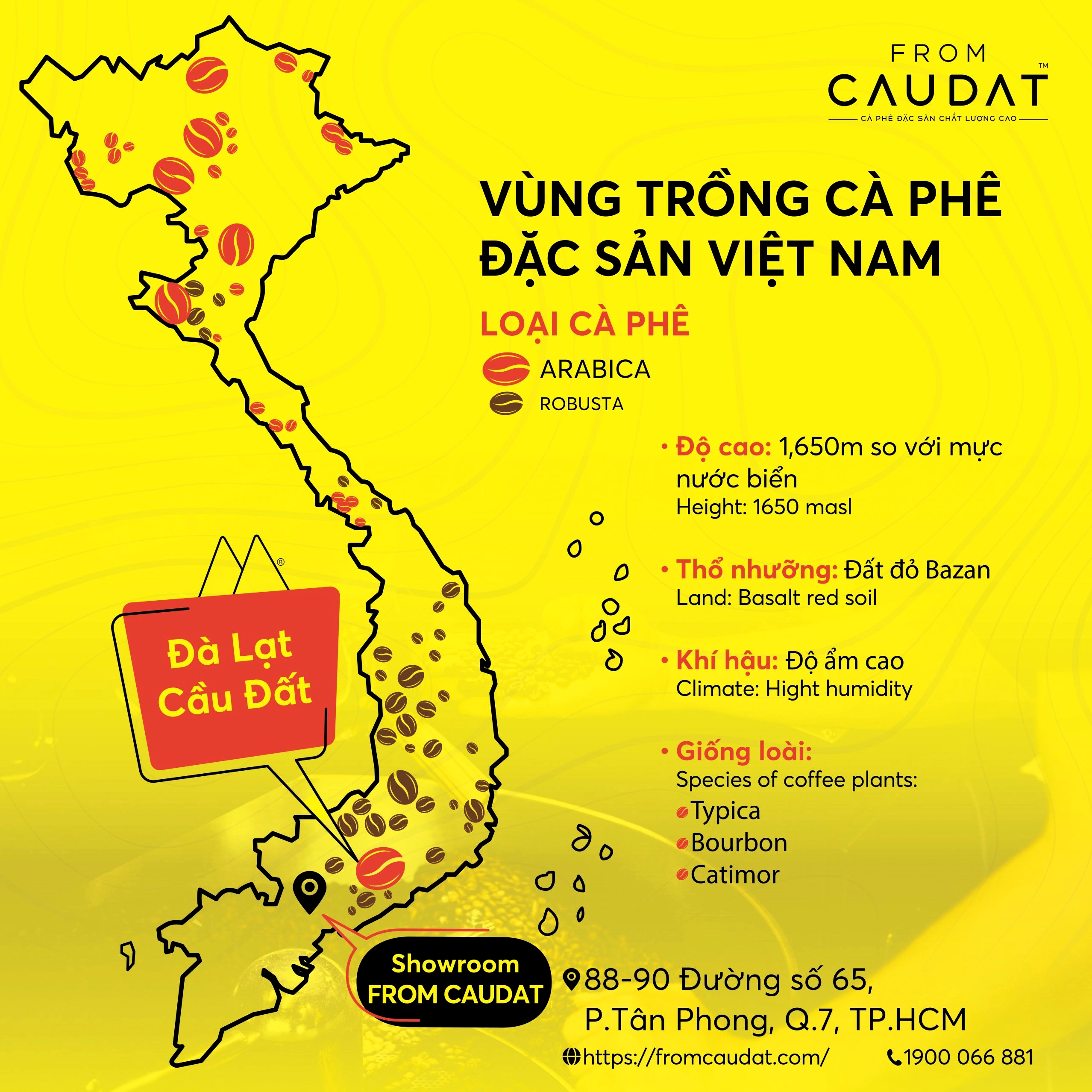 Bản đồ các vùng trồng cà phê hữu cơ chất lượng cao tại Việt Nam