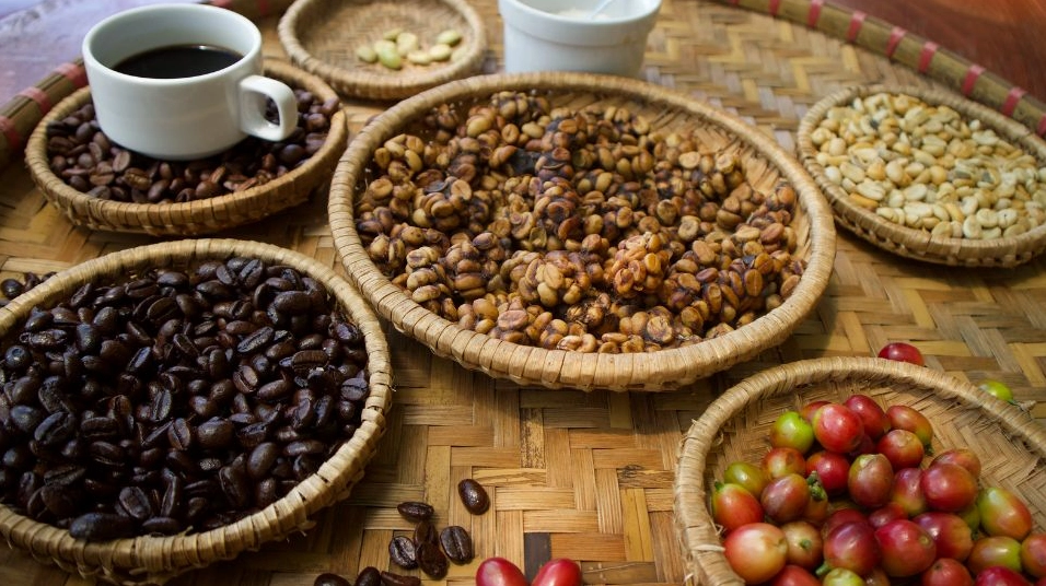 Cà phê chồn có gì đặc biệt?