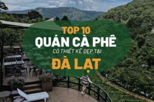 Cà Phê Đà Lạt 2026: Khám Phá 20 Quán Xinh Đẹp, Mộng Mơ Nhất Định Phải Ghé!