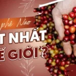 Cà Phê Đắt Nhất Thế Giới 2026: Khám Phá Hương Vị Thượng Lưu và Giá Trị Độc Nhất Vô Nhị!