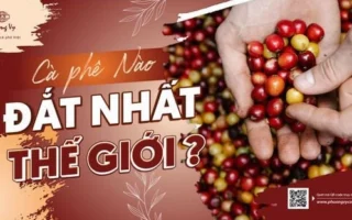 Cà Phê Đắt Nhất Thế Giới 2026: Khám Phá Hương Vị Thượng Lưu và Giá Trị Độc Nhất Vô Nhị!