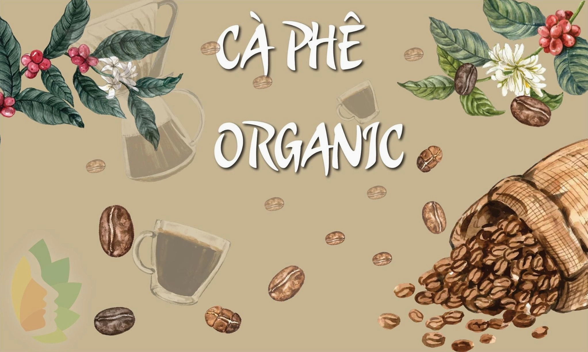 Cà phê hữu cơ L' AMANT