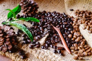 Cà Phê Hữu Cơ Mua Ở Đâu? Bí Quyết Chọn & Địa Chỉ Uy Tín 2026