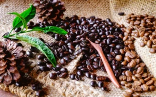 Cà Phê Hữu Cơ Mua Ở Đâu? Bí Quyết Chọn & Địa Chỉ Uy Tín 2026