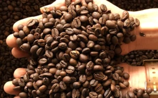 Cà Phê Mộc: Khám Phá Hương Vị Tinh Túy & Cách Nhận Biết Chuẩn Nhất 2026