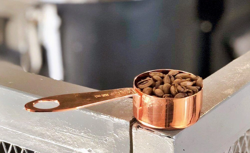 Cà phê Mocha được trồng nhiều ở khu vực Cầu Đất, Đà Lạt.