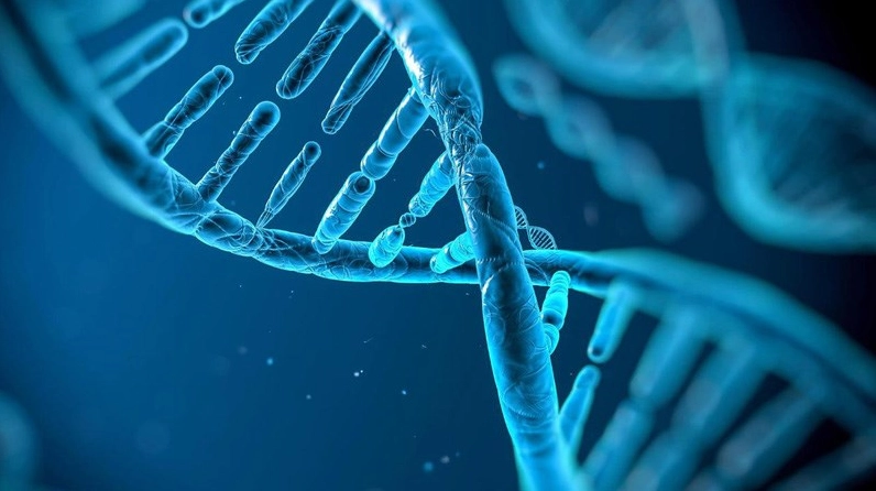 Cà phê nguyên chất giảm thiểu mức độ phân mảnh của chuỗi DNA