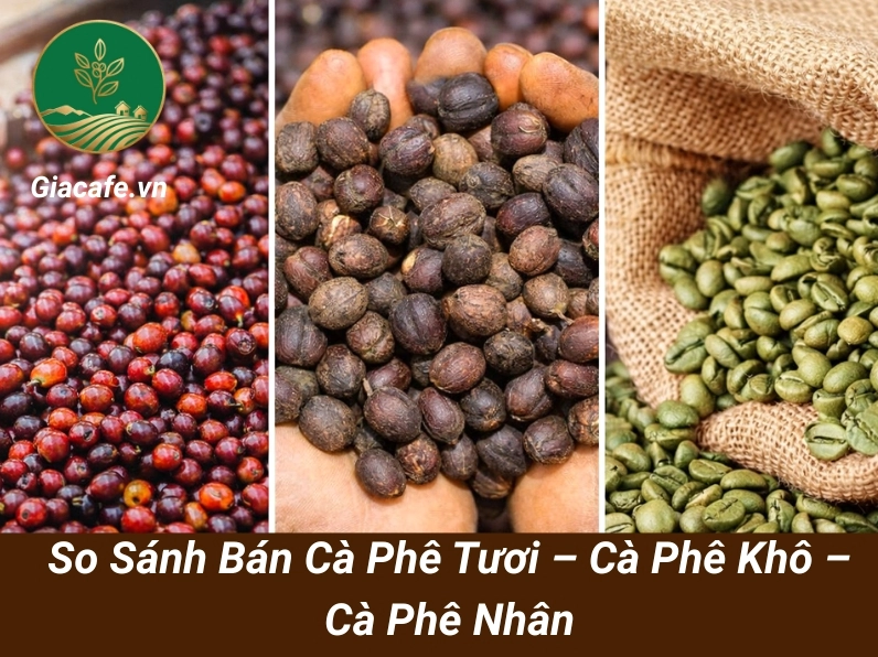 Cà phê nhân Việt Nam