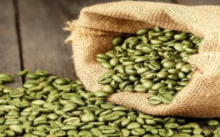 Cà Phê Xanh: Giải Mã Bí Ẩn Giảm Cân Và Lợi Ích Sức Khỏe 2026