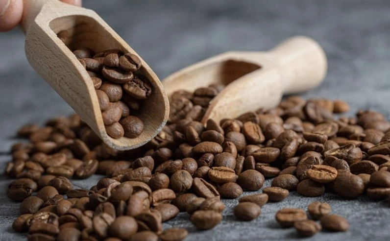 các loại hạt cà phê tại việt nam