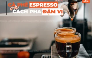 Chuyên Gia Tiết Lộ: Cà Phê Espresso Có Nguồn Gốc Từ Nước Nào? Bí Mật 2026!