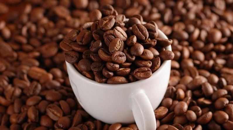 Đặc tính hương vị