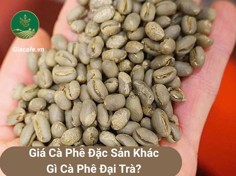 gia ca phe 1