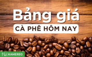 Giá Cà Phê Bảo Lộc Hôm Nay 09/04/2026: Phân Tích Chuyên Sâu Xu Hướng Thị Trường