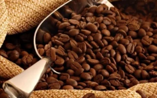 Giá Cà Phê Giá Tiêu Hôm Nay 2026: Phân Tích Chuyên Sâu Xu Hướng Thị Trường