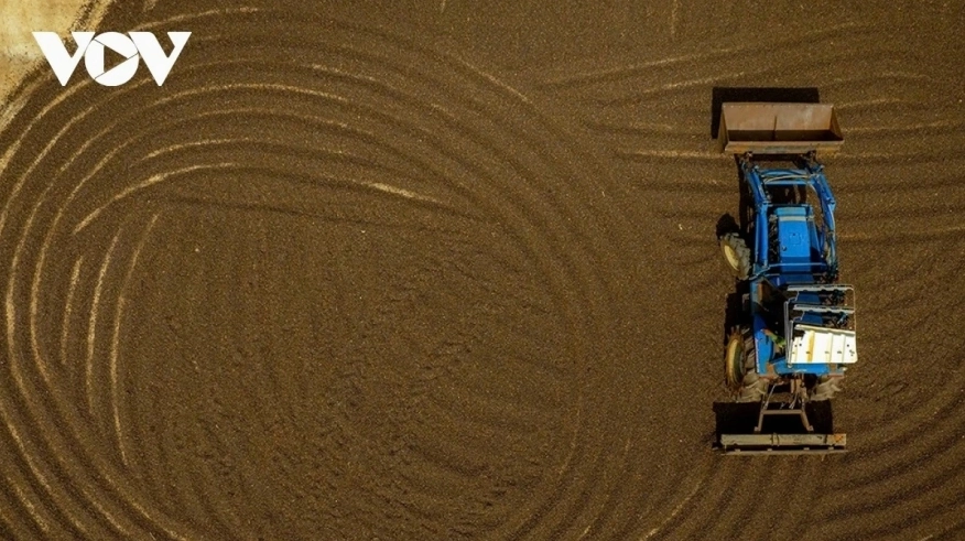 Giá cà phê hôm nay 20/3: Giá cà phê diễn biến trái chiều trên hai sàn quốc tế