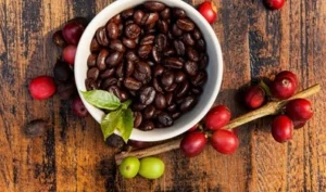 Giá Cà Phê Lâm Đồng Hôm Nay 09/04/2026: Tăng Giá, Phân Tích Chuyên Sâu & Dự Báo