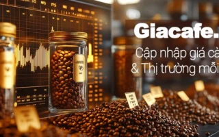 Giá Cà Phê Nội Địa 09/04/2026: Phân Tích Chuyên Sâu Biến Động Thị Trường