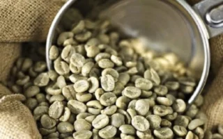 Giá Cà Phê Tây Nguyên 2026: Nắm Bắt Xu Hướng & Cơ Hội Phát Triển Bền Vững