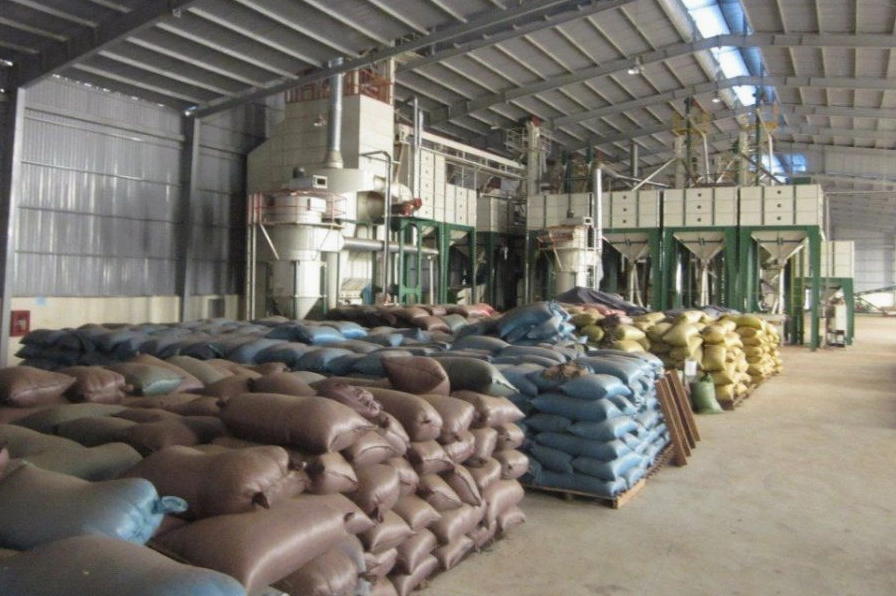 Giá cà phê Tây Nguyên hôm nay - cập nhật mới nhất