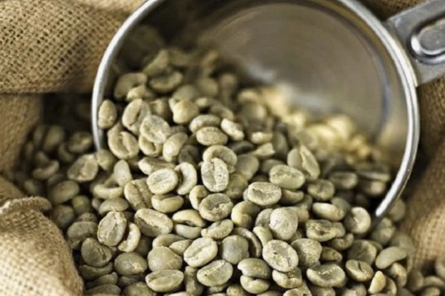 Giá cà phê Tây Nguyên hôm nay - cập nhật mới nhất