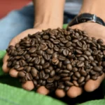 Giải Mã Bảng Trừ Độ Ẩm Cà Phê: Bí Quyết Đánh Giá Chất Lượng Hạt Chuẩn Nhất 2026