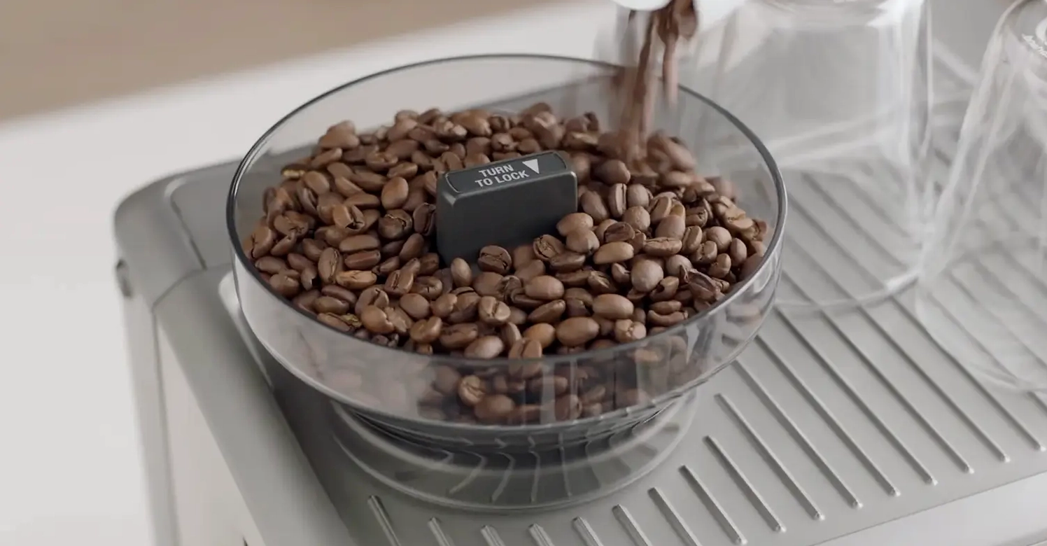 Hộc chứa cà phê của máy Breville BES870BSS đựng tối đa 250g hạt