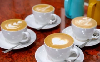 Khám Phá Thế Giới Đa Dạng: Cẩm Nang Về Các Loại Cà Phê Cho Tín Đồ 2026