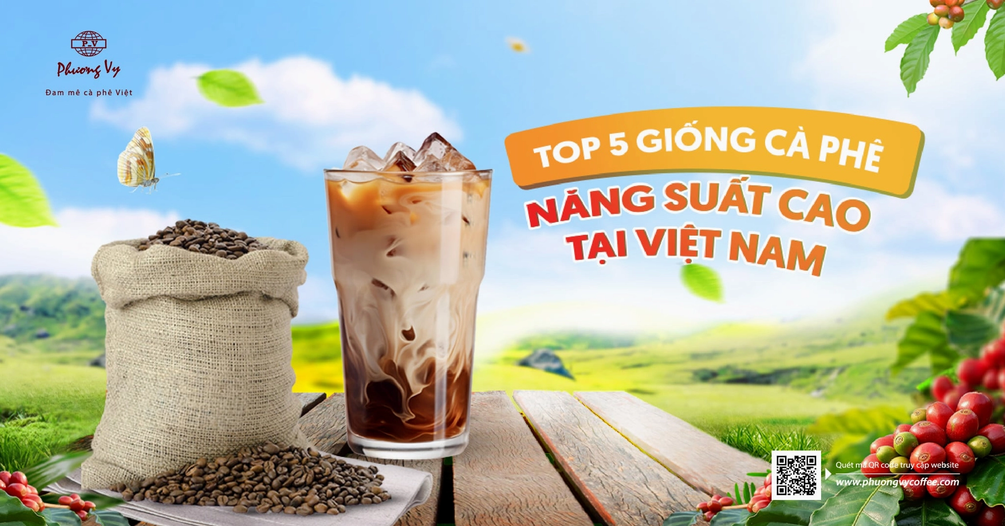 Khám phá TOP 5 hạt giống cà phê có năng suất cao tại thị trường Việt Nam