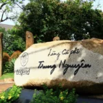 Làng Cà Phê Trung Nguyên: Khám phá từ A-Z dấu ấn văn hóa Tây Nguyên 2026