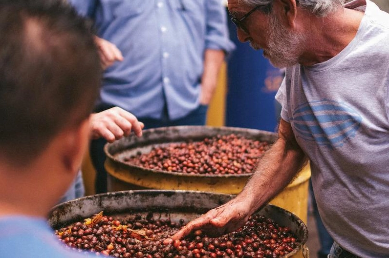 Lợi ích của cà phê lên men