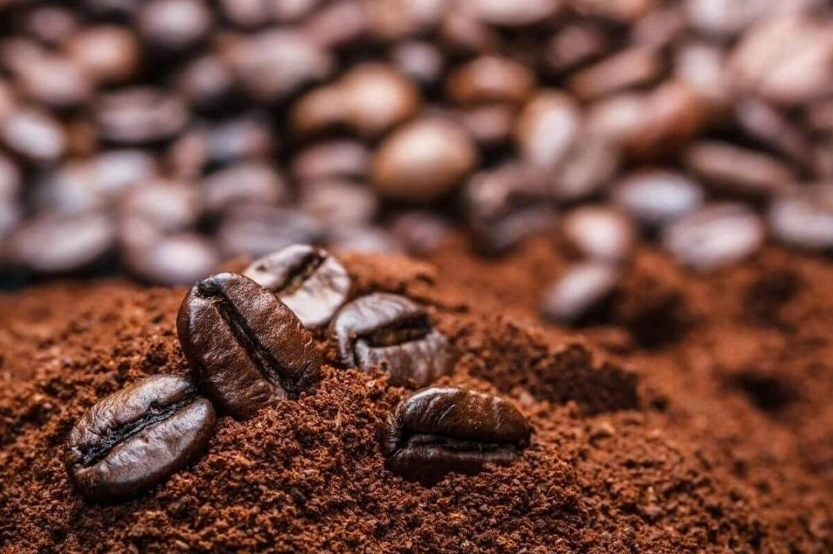 Lợi ích của các hình thức đầu tư cà phê Robusta phổ biến