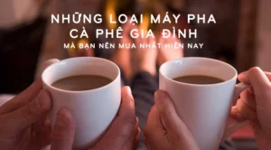 Máy Pha Cà Phê Gia Đình 2026: Hướng Dẫn Chọn Lựa Chuẩn Chuyên Gia!