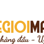 Máy Pha Cà Phê Tự Động 2026: Hướng Dẫn Chọn Mua & Sử Dụng Chuyên Sâu