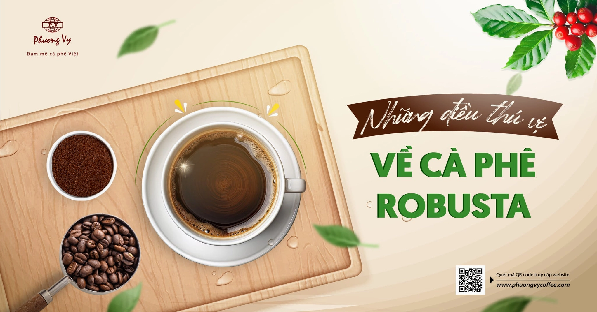 Những điều thú vị về đặc điểm và đặc tính của giống cây cà phê Robusta