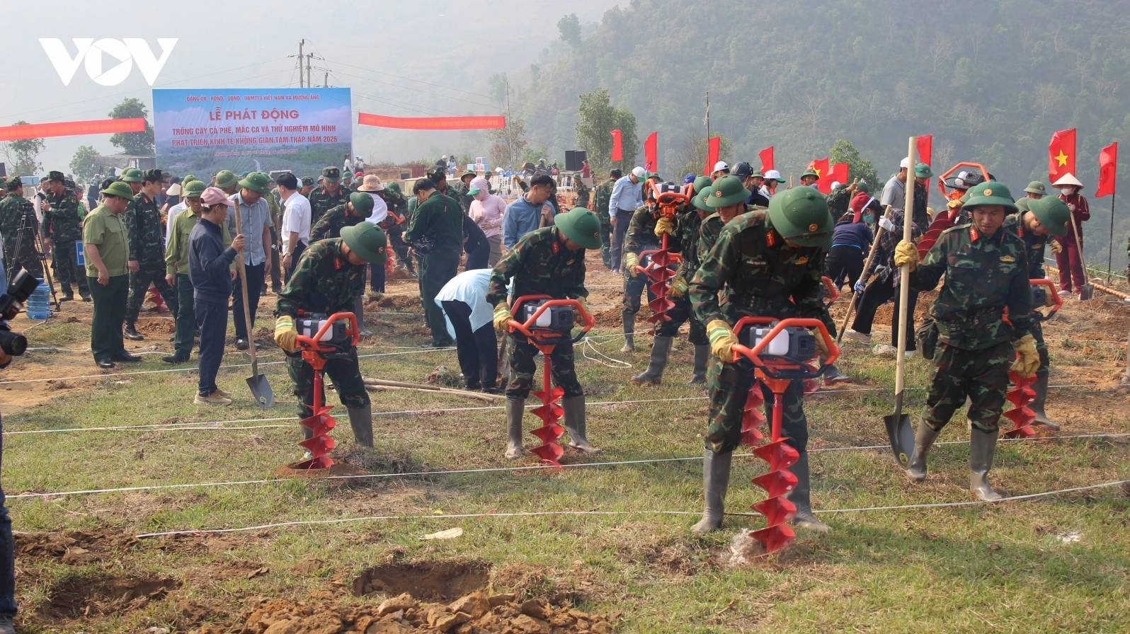 Phát triển vùng trồng cà phê tại Điện Biên