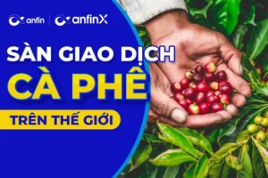 Sàn Giao Dịch Cà Phê 2026: Hướng Dẫn Toàn Diện Cho Nhà Đầu Tư!