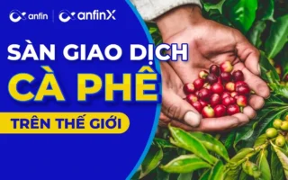 Sàn Giao Dịch Cà Phê 2026: Hướng Dẫn Toàn Diện Cho Nhà Đầu Tư!