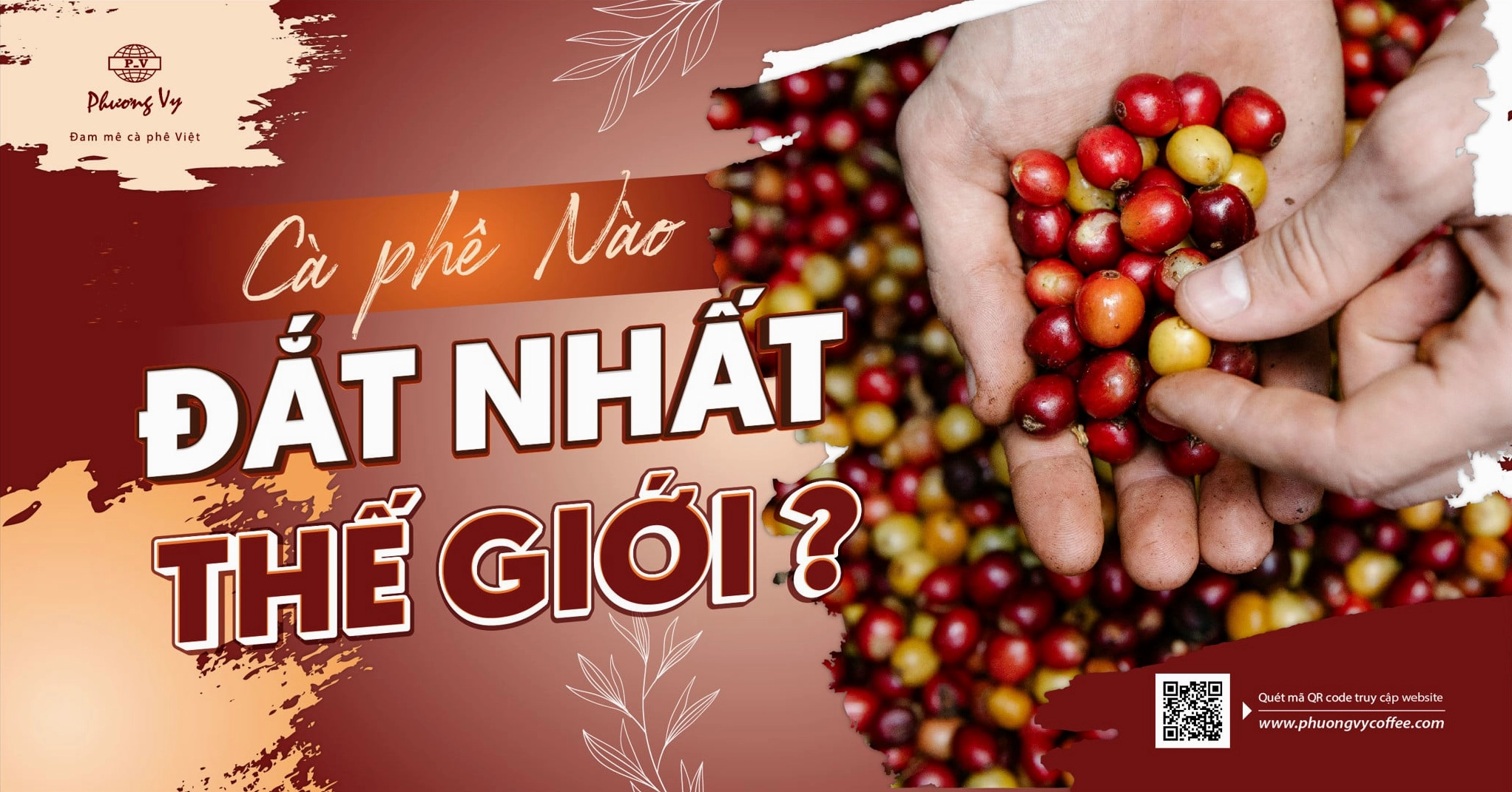 Tổng hợp 5 loại cà phê đắt nhất thế giới mà bạn cần biết
