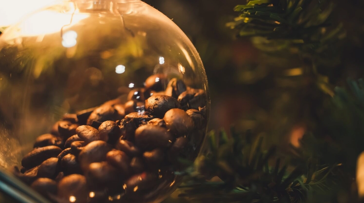 VÙNG NGUYÊN LIỆU